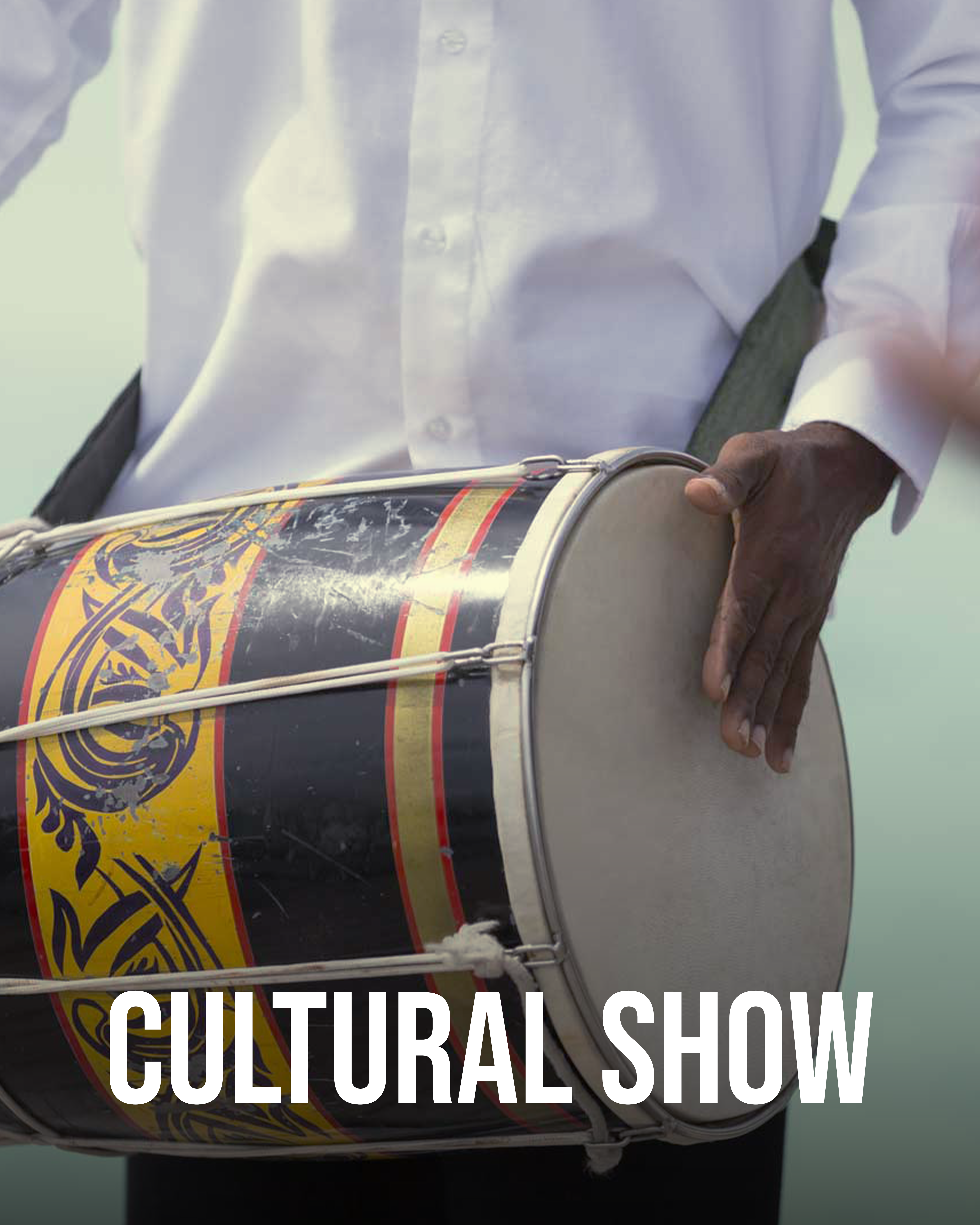 Traditional music show